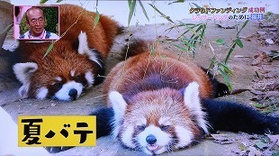 s-IMG_7170.jpg