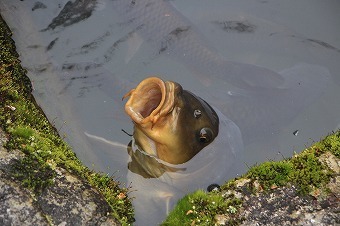 s-IMG_7339.jpg