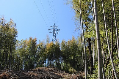 s-IMG_7373.jpg