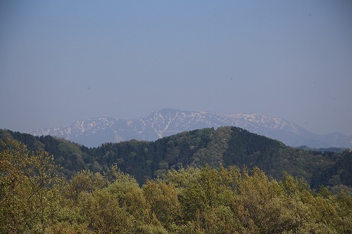 s-IMG_7447.jpg