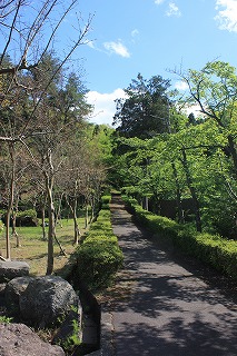 s-IMG_7511.jpg