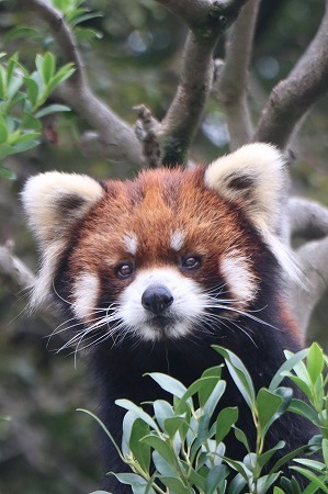 s-IMG_7515.jpg