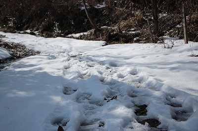 s-IMG_7548.jpg