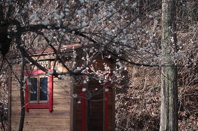 s-IMG_7640.jpg