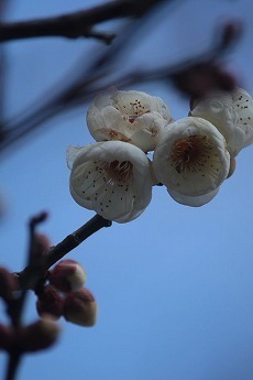 s-IMG_7641.jpg