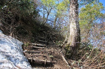 s-IMG_7667.jpg