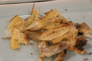 s-IMG_7685.jpg