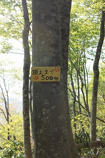 s-IMG_7716.jpg
