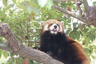 s-IMG_7718.jpg