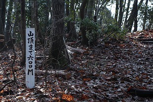 s-IMG_7993.jpg