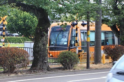 s-IMG_8000.jpg