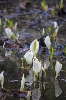 s-IMG_8045.jpg