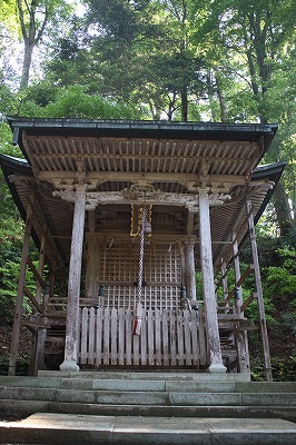 s-IMG_8081.jpg