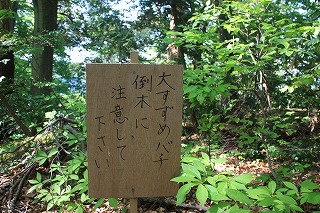 s-IMG_8097.jpg