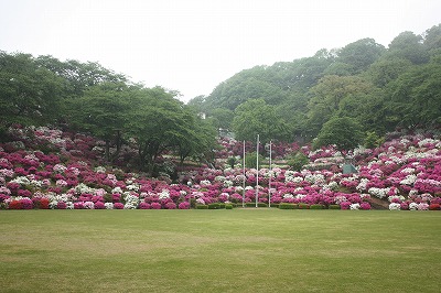 s-IMG_8237.jpg