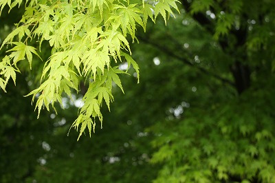 s-IMG_8255.jpg