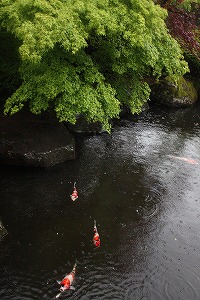 s-IMG_8262.jpg