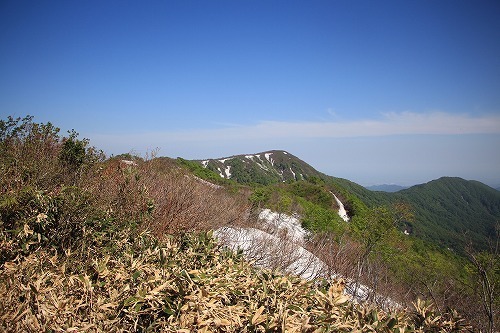 s-IMG_8294.jpg