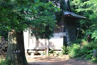 s-IMG_8306.jpg