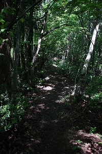 s-IMG_8309.jpg