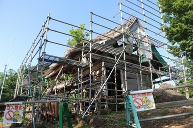 s-IMG_8310.jpg