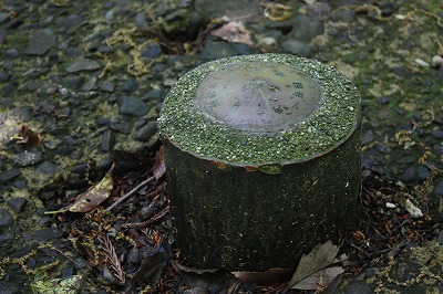 s-IMG_8315.jpg
