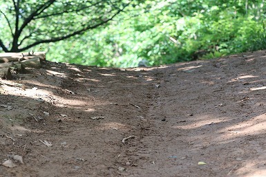 s-IMG_8319.jpg