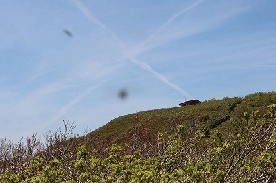 s-IMG_8360.jpg