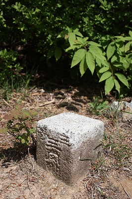 s-IMG_8416.jpg