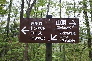 s-IMG_8452.jpg