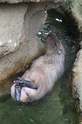 s-IMG_8531.jpg
