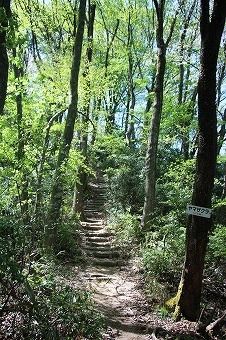 s-IMG_8573.jpg