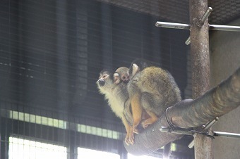 s-IMG_8580.jpg