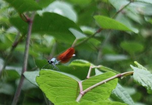 s-IMG_8581.jpg