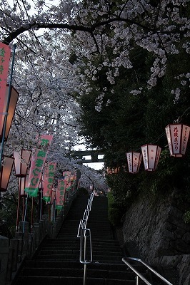 s-IMG_8660.jpg