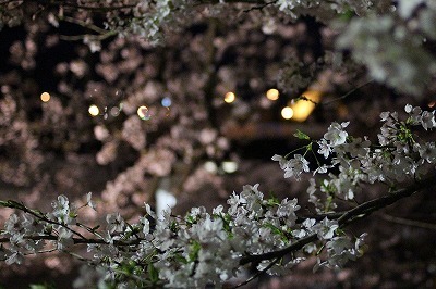 s-IMG_8730.jpg