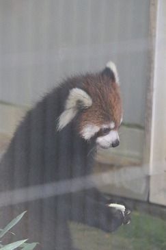 s-IMG_8737.jpg