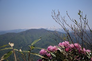 s-IMG_8790.jpg