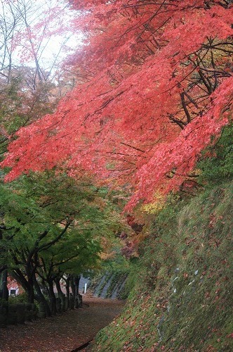 s-IMG_8852.jpg