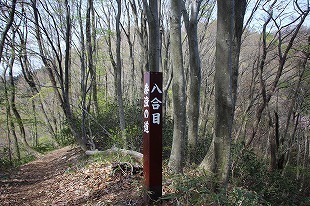 s-IMG_8884.jpg