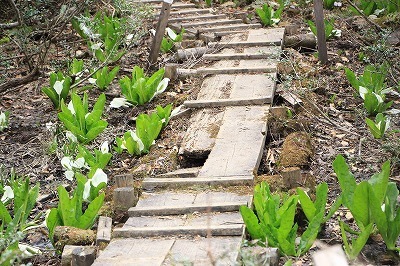 s-IMG_8884.jpg