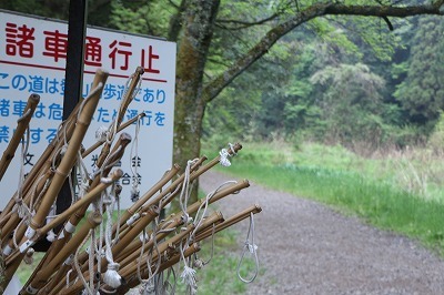 s-IMG_8888.jpg