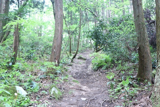 s-IMG_8894.jpg