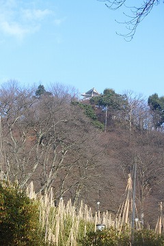 s-IMG_8965.jpg