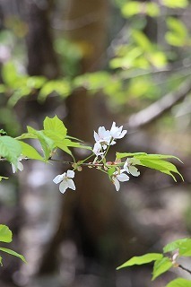 s-IMG_9011.jpg