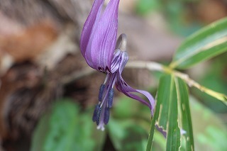 s-IMG_9014.jpg