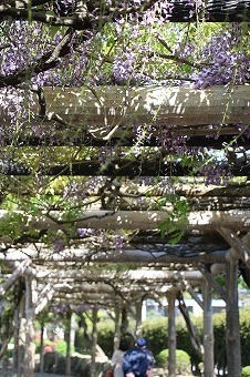 s-IMG_9038.jpg