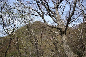 s-IMG_9068.jpg