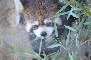 s-IMG_9082.jpg