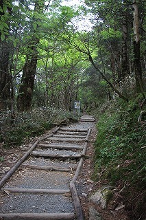 s-IMG_9094.jpg